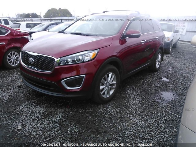 5XYPG4A37GG170242 - 2016 KIA SORENTO LX/L MAROON photo 2