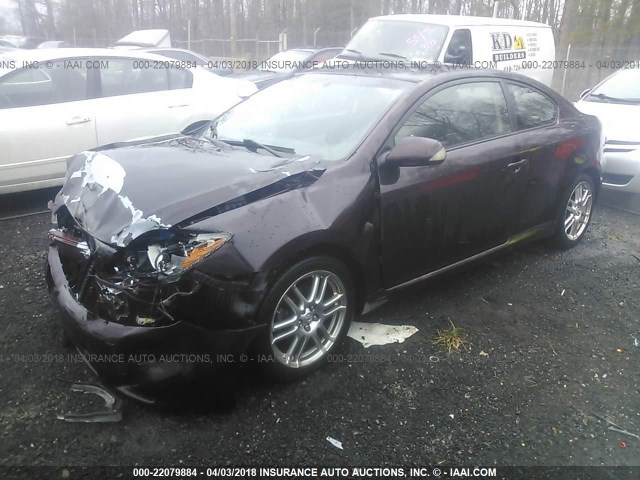 JTKDE167880225509 - 2008 TOYOTA SCION TC 紫色 照片 2
