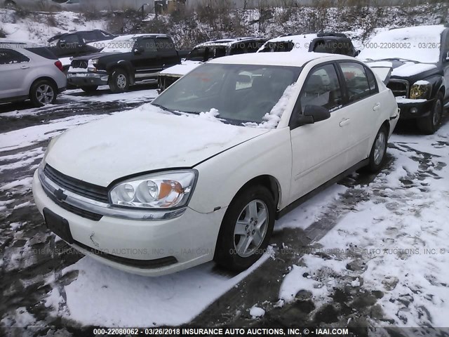 1G1ZT54805F216083 - 2005 CHEVROLET MALIBU LS 白色 照片 2