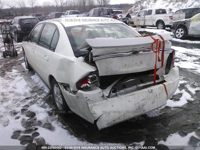 1G1ZT54805F216083 - 2005 CHEVROLET MALIBU LS 白色 照片 3
