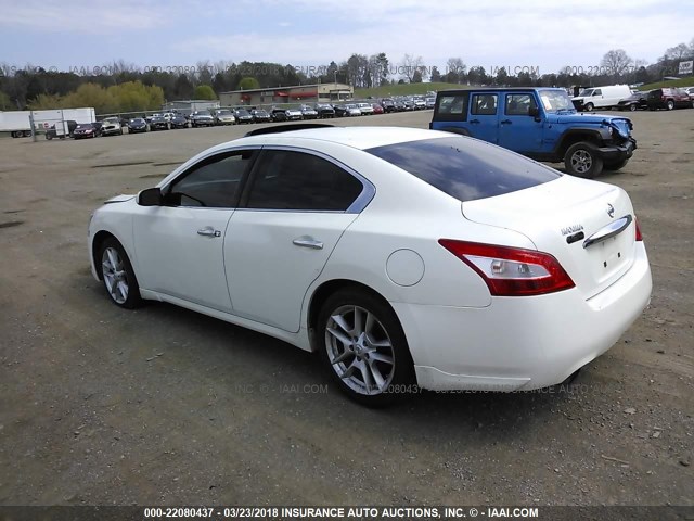 1N4AA5AP3BC832188 - 2011 NISSAN MAXIMA S/SV WHITE photo 3