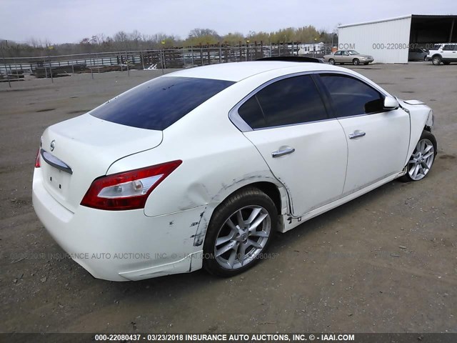 1N4AA5AP3BC832188 - 2011 NISSAN MAXIMA S/SV WHITE photo 4