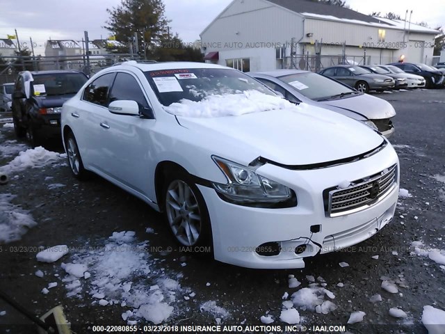 1N4AA5AP3BC862517 - 2011 NISSAN MAXIMA S/SV WHITE photo 1