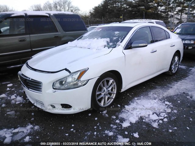 1N4AA5AP3BC862517 - 2011 NISSAN MAXIMA S/SV WHITE photo 2