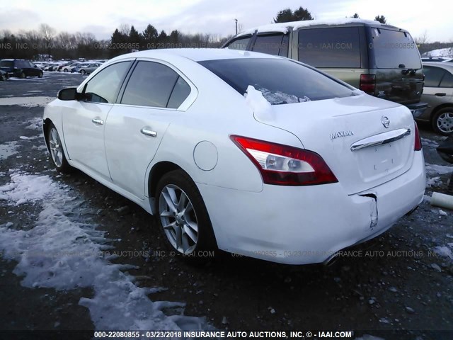 1N4AA5AP3BC862517 - 2011 NISSAN MAXIMA S/SV WHITE photo 3