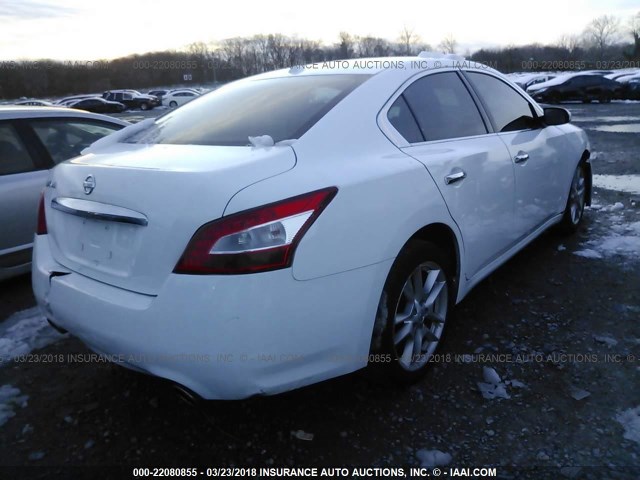 1N4AA5AP3BC862517 - 2011 NISSAN MAXIMA S/SV WHITE photo 4