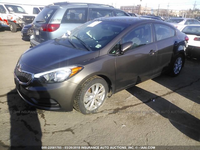 KNAFX4A68E5219747 - 2014 KIA FORTE LX BROWN photo 2