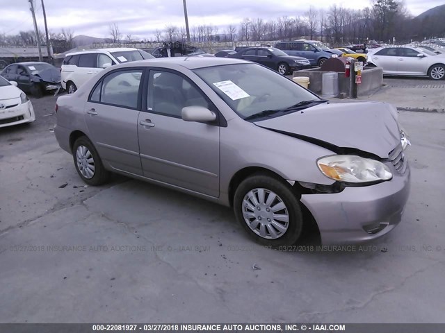 2T1BR38E53C136599 - 2003 TOYOTA COROLLA CE/LE/S GOLD photo 1