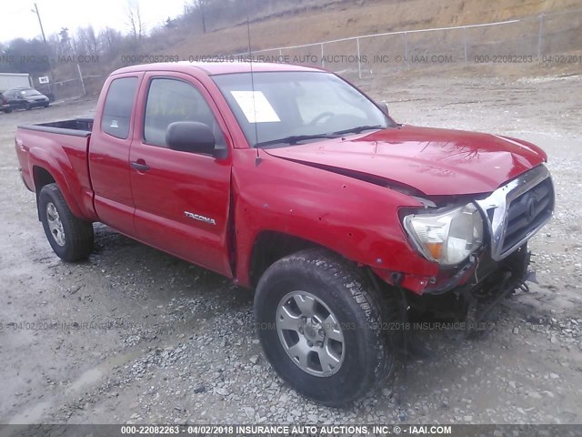 5TEUU42N67Z453748 - 2007 TOYOTA TACOMA ACCESS CAB Rot Foto 1