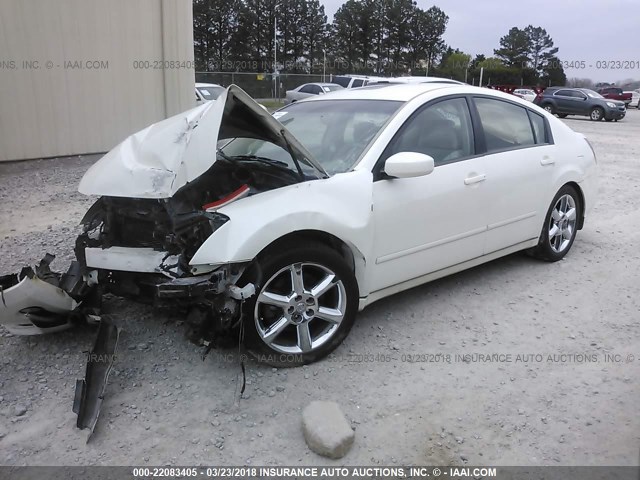 1N4BA41E55C868210 - 2005 NISSAN MAXIMA SE/SL WHITE photo 2