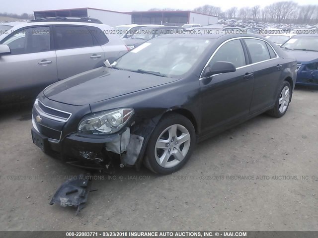 1G1ZB5E14BF379755 - 2011 CHEVROLET MALIBU LS შავი ფოტო 2