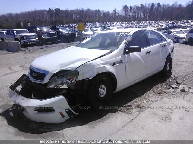 6G1MK5U2XCL606702 - 2012 CHEVROLET CAPRICE POLICE WHITE photo 2