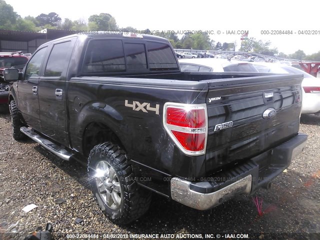 1FTFW1ET7DKE74393 - 2013 FORD F150 SUPERCREW BROWN photo 3