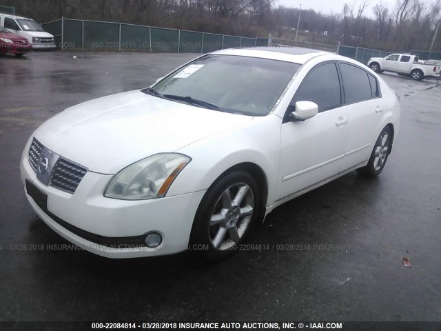 1N4BA41E36C856512 - 2006 NISSAN MAXIMA SE/SL WHITE photo 2