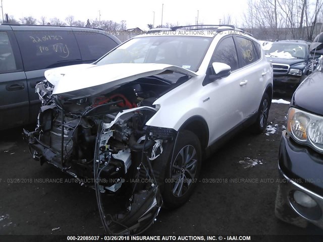 JTMRJREV0GD013766 - 2016 TOYOTA RAV4 HV XLE WHITE photo 2