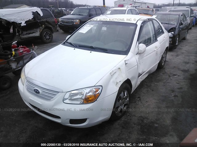 KNAFE121375377066 - 2007 KIA SPECTRA EX/LX WHITE photo 2