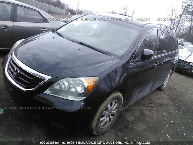 5FNRL38649B056143 - 2009 HONDA ODYSSEY EXL შავი ფოტო 2