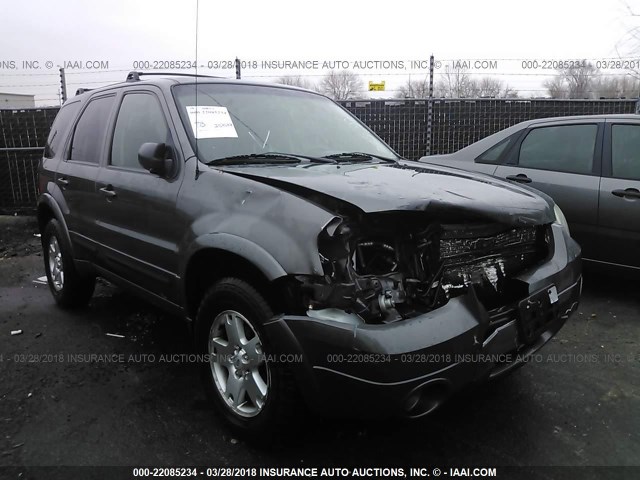 1FMCU04166KA37809 - 2006 FORD ESCAPE LIMITED GRAY photo 1