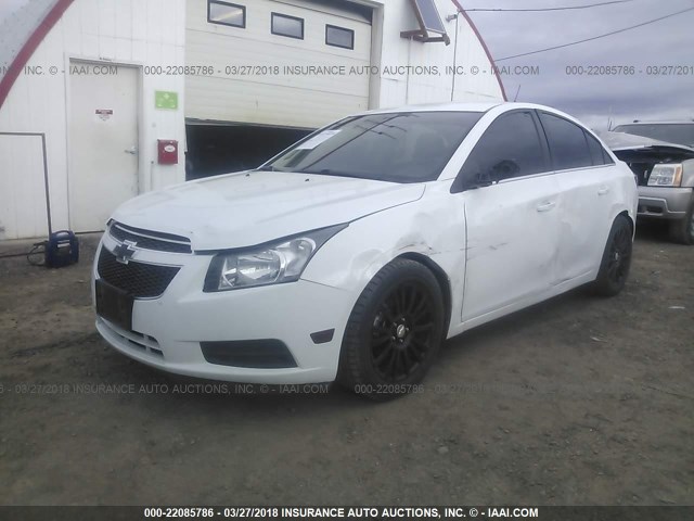 1G1PJ5SB7E7240466 - 2014 CHEVROLET CRUZE ECO WHITE photo 2