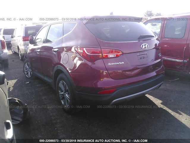 5XYZTDLB1GG362247 - 2016 HYUNDAI SANTA FE SPORT  RED photo 3