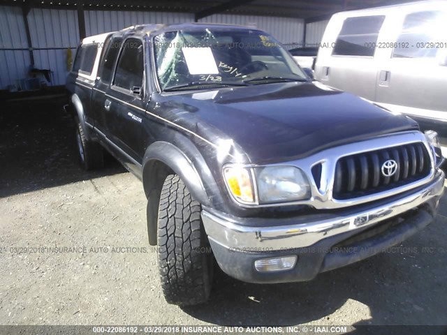 5TEWN72N24Z449330 - 2004 TOYOTA TACOMA XTRACAB BLACK photo 6