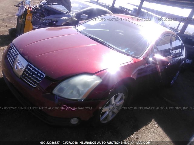 1N4BA41E05C818640 - 2005 NISSAN MAXIMA SE/SL RED photo 2