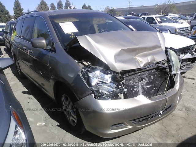 5FNRL38656B455042 - 2006 HONDA ODYSSEY EXL ოქროსფერი ფოტო 1