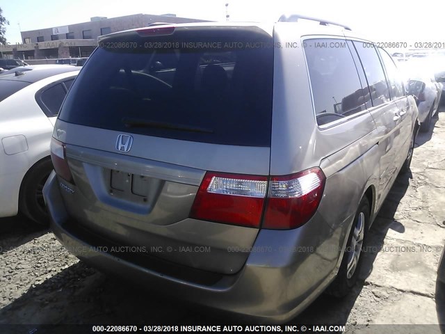 5FNRL38656B455042 - 2006 HONDA ODYSSEY EXL ოქროსფერი ფოტო 4