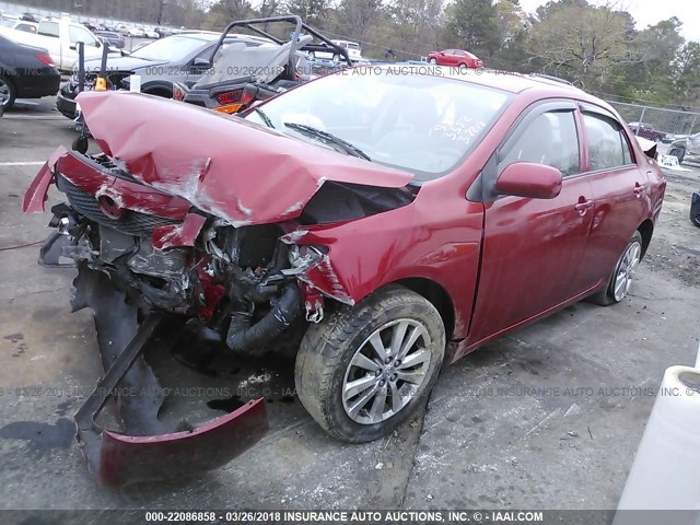 1NXBU40E49Z013352 - 2009 TOYOTA COROLLA S/LE/XLE RED photo 2