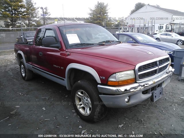 1B7GG22Y7XS134771 - 1999 DODGE DAKOTA RED photo 1