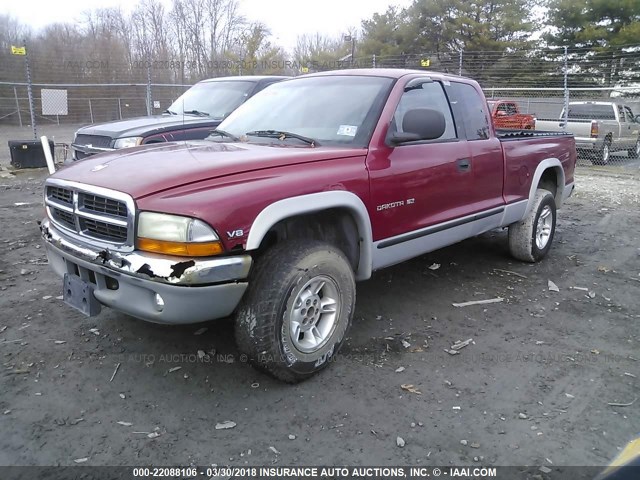 1B7GG22Y7XS134771 - 1999 DODGE DAKOTA RED photo 2