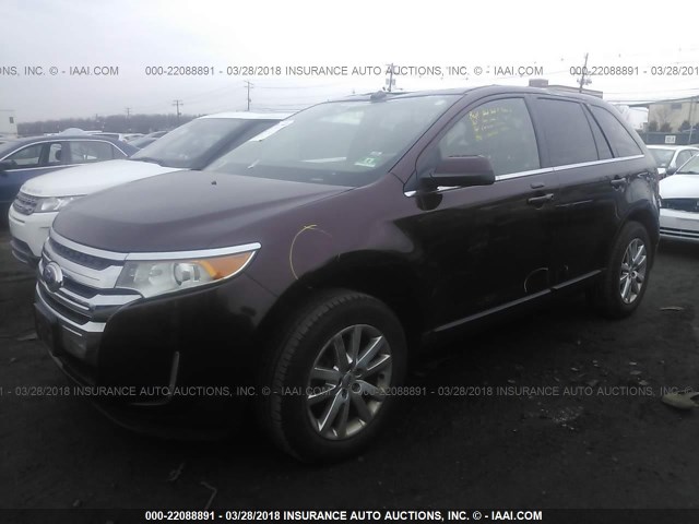 2FMDK4KC1CBA85696 - 2012 FORD EDGE LIMITED MAROON photo 2