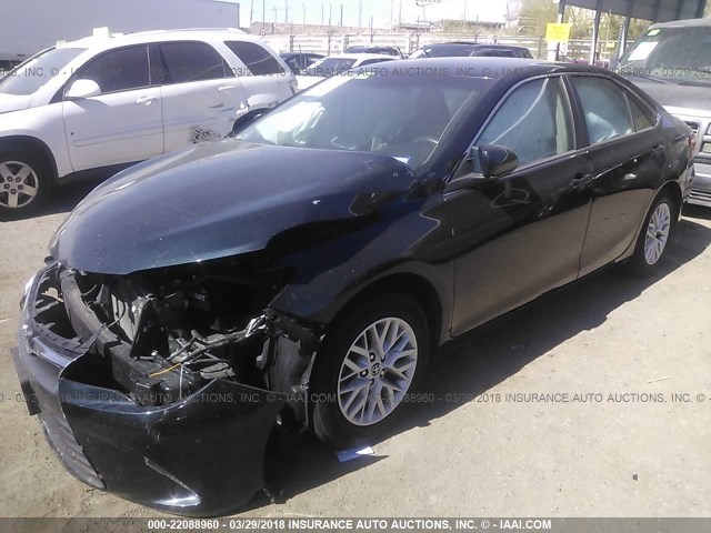 4T4BF1FKXGR543737 - 2016 TOYOTA CAMRY LE/XLE/SE/XSE GREEN photo 2