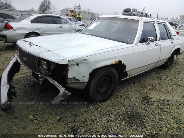 2FABP72G9KX194237 - 1989 FORD CROWN VICTORIA S WHITE photo 2