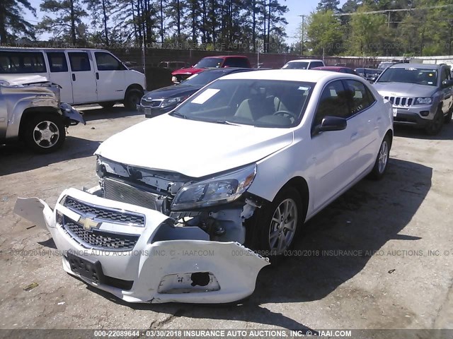 1G11A5SA3DF262708 - 2013 CHEVROLET MALIBU LS 白色 照片 2