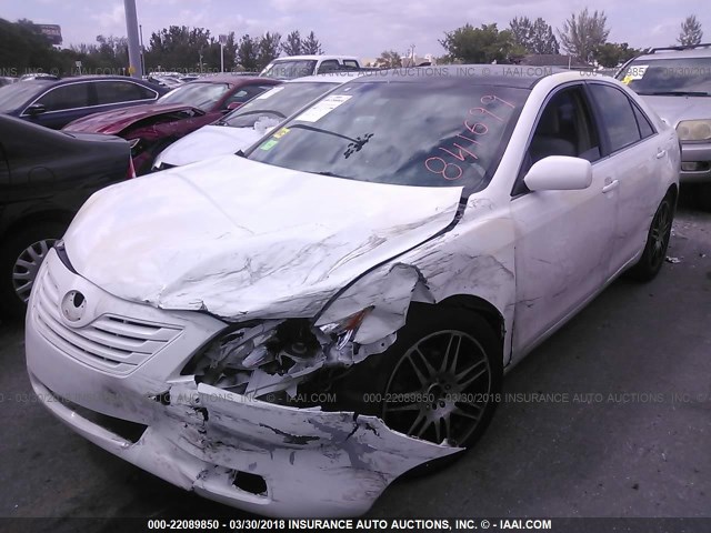 4T1BE46K49U841699 - 2009 TOYOTA CAMRY SE/LE/XLE WHITE photo 6