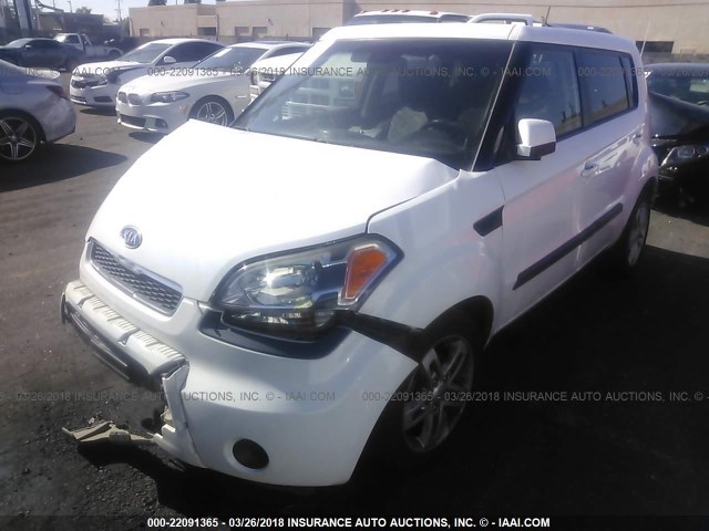 KNDJT2A2XB7295593 - 2011 KIA SOUL +/!/SPORT WHITE photo 2