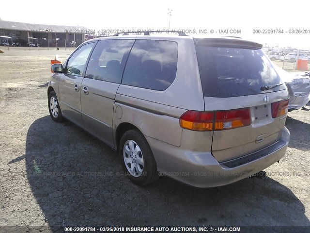5FNRL18053B157649 - 2003 HONDA ODYSSEY EXL ოქროსფერი ფოტო 3