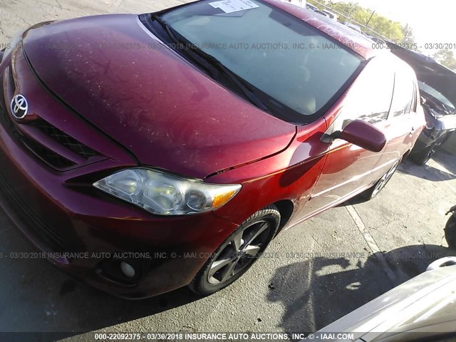 2T1BU4EE6BC602628 - 2011 TOYOTA COROLLA S/LE RED photo 2