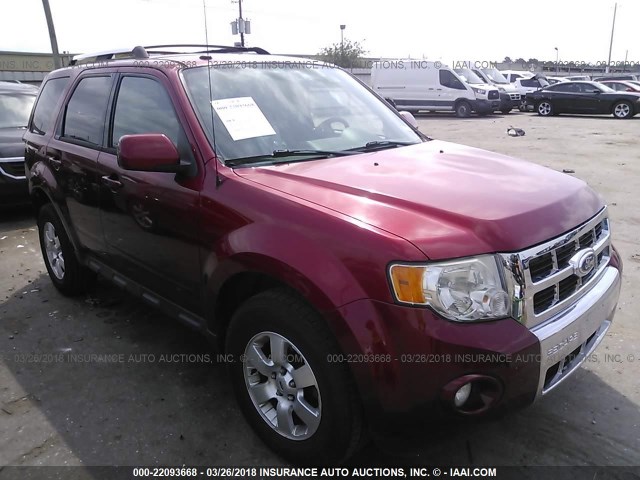 1FMCU0EGXCKA37360 - 2012 FORD ESCAPE LIMITED RED photo 1