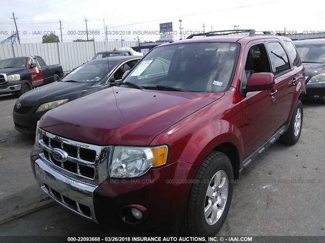 1FMCU0EGXCKA37360 - 2012 FORD ESCAPE LIMITED RED photo 2