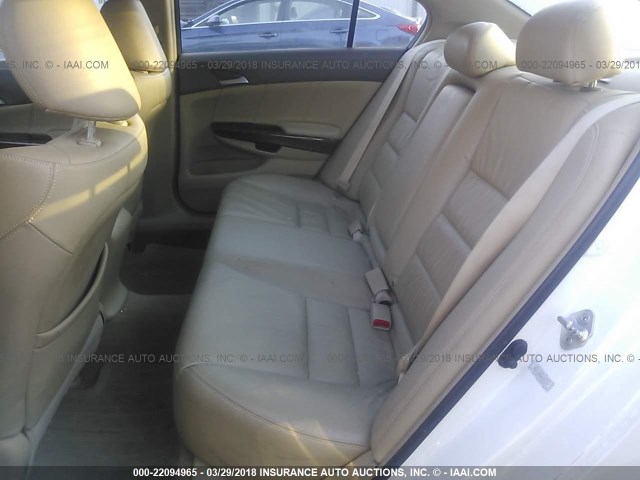 1HGCP36858A059379 - 2008 HONDA ACCORD EXL WHITE photo 8