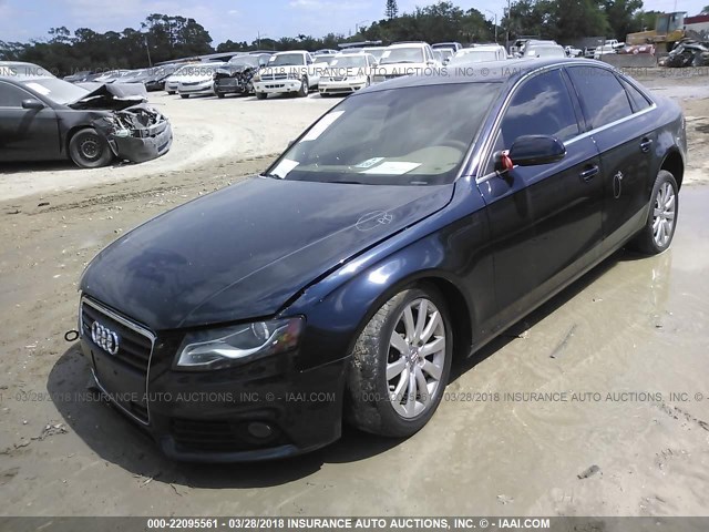 WAUFFAFL6BN035578 - 2011 AUDI A4 PREMIUM PLUS BLUE photo 2