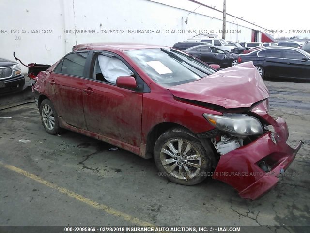 1NXBU4EE9AZ347597 - 2010 TOYOTA COROLLA S/LE/XLE RED photo 1