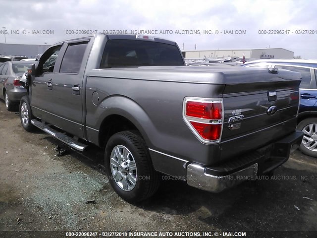 1FTEW1C89AKA59579 - 2010 FORD F150 SUPERCREW GRAY photo 3