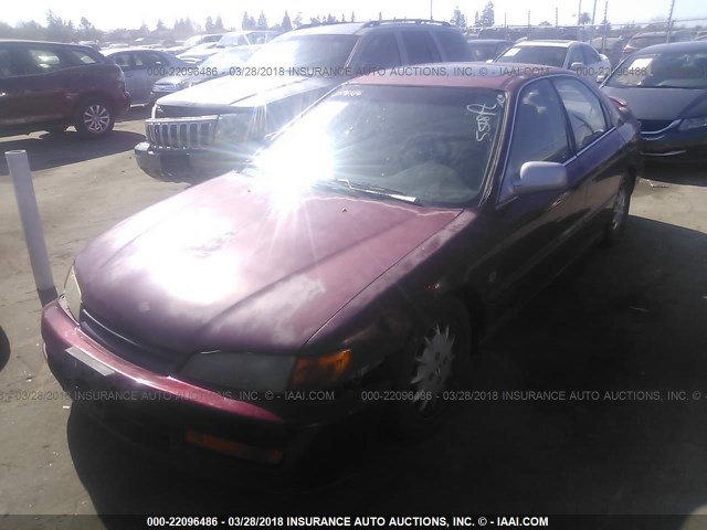 1HGCD5652TA136048 - 1996 HONDA ACCORD EX/EX-R RED photo 2