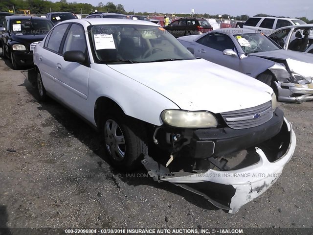 1G1ND52F15M235587 - 2005 CHEVROLET CLASSIC YELLOW photo 1