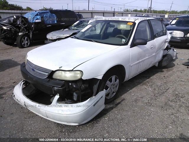 1G1ND52F15M235587 - 2005 CHEVROLET CLASSIC YELLOW photo 2