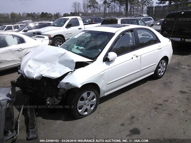 KNAFE222495660190 - 2009 KIA SPECTRA EX/LX/SX WHITE photo 2