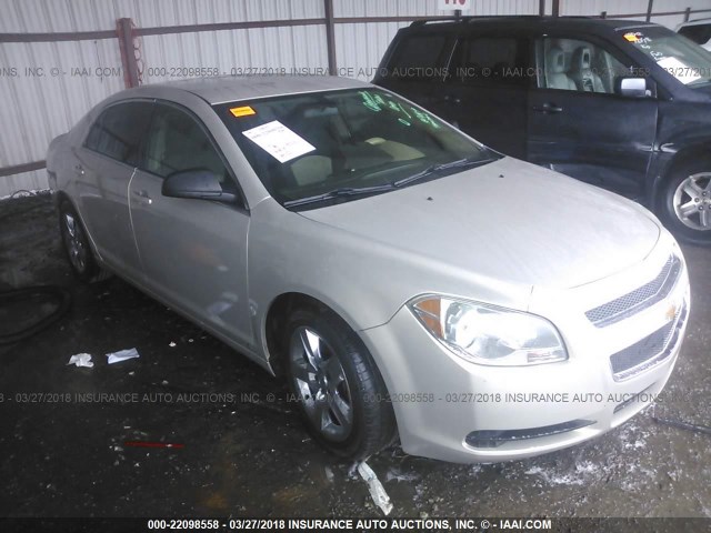 1G1ZA5E08AF105483 - 2010 CHEVROLET MALIBU LS თაფლისფერი ფოტო 1